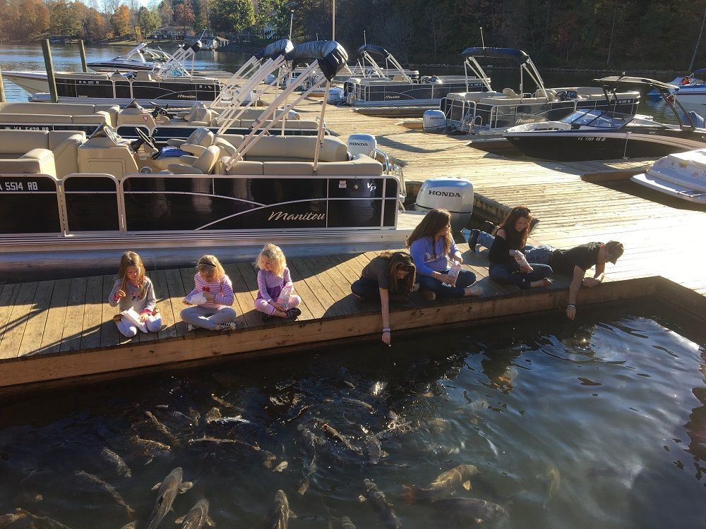 Things To Do With Kids At Smith Mountain Lake